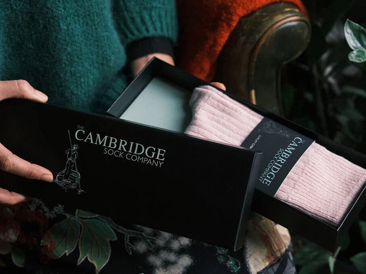 A person holds an open black Cambridge Sock Company gift box containing pale pink ribbed socks. The scene includes a green sweater, a rust-colored chair, and dark foliage in the background.