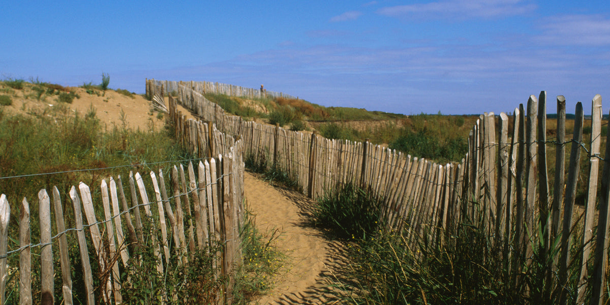 A sandy path bordered by rustic wooden fences winding through grassy dunes under a clear blue sky.