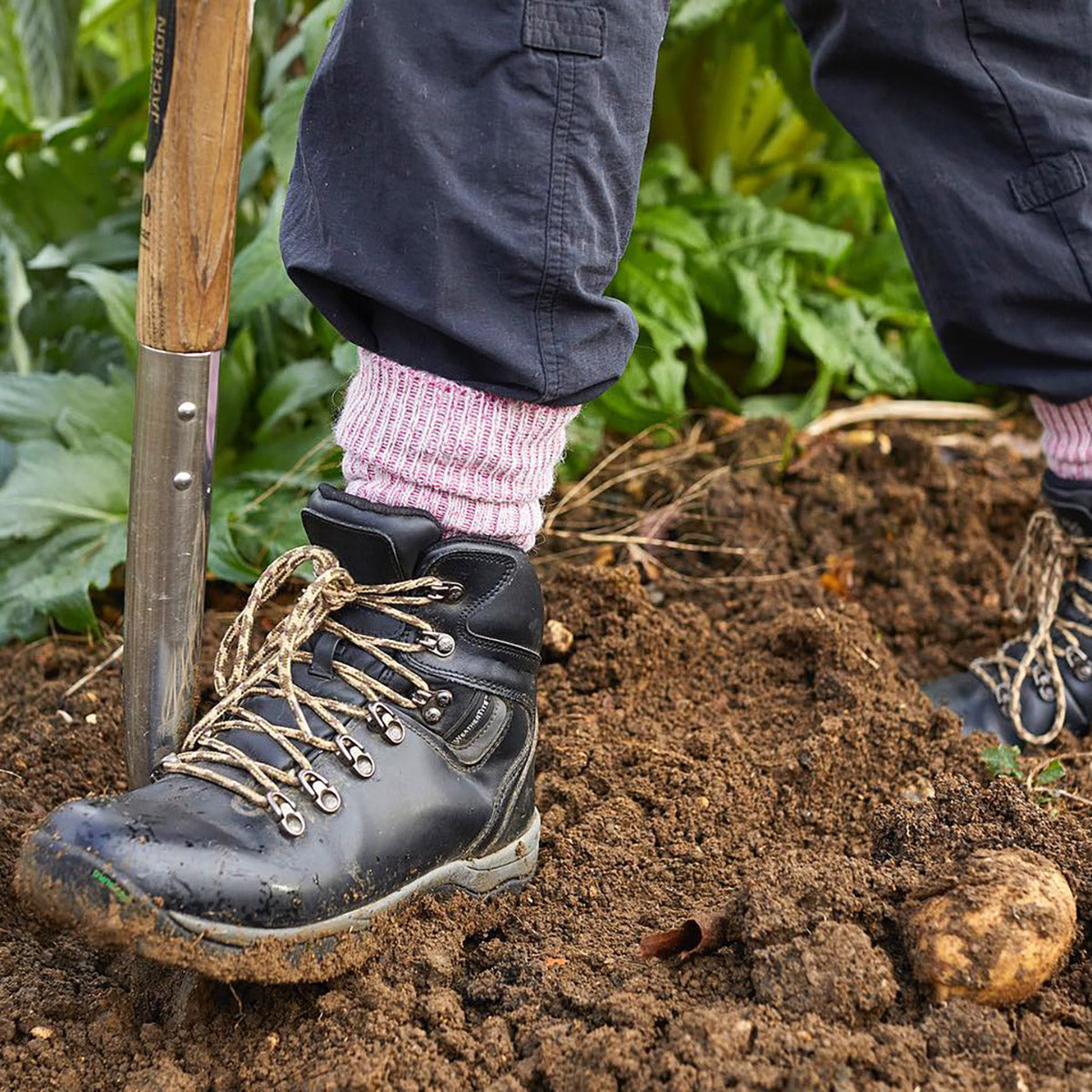 A close-up of a person gardening, wearing black lace-up work boots with pink knit socks, standing in dark soil next to a hand tool.